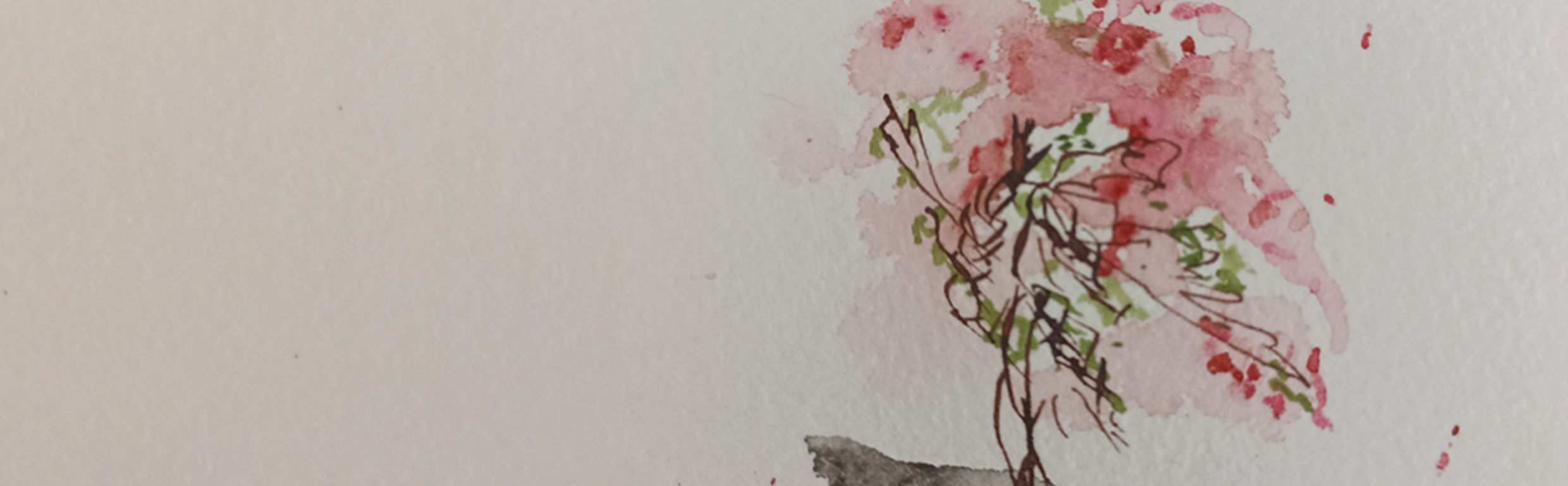 Watercolor of pink blossoms, the original artwork for Qigong for Health